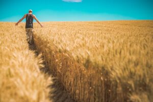 ΕΕ: «Πράσινο φως» από τον Επίτροπο Βοϊτσεχόφσκι για χρηματοδοτήσεις αγροτών σε Ημαθία- Πέλλα