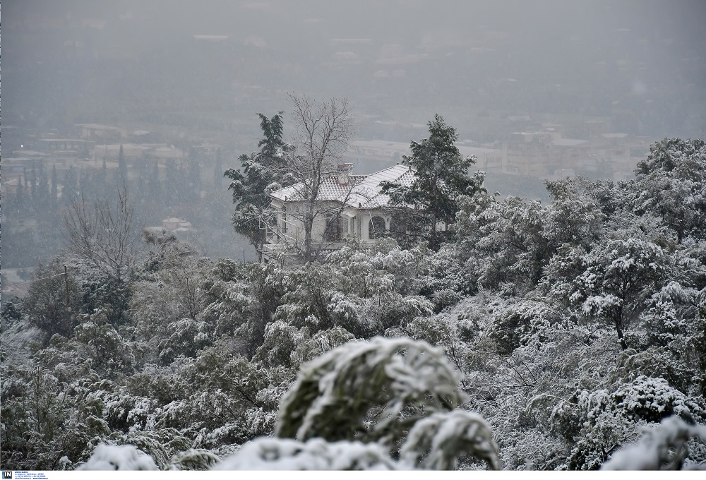 Κακοκαιρία «Ελπίς»: Άρχισαν τα χιόνια στην Μακεδονία (VIDEO)