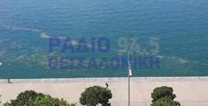 Θεσσαλονίκη: Νέες φρικτές εικόνες με φυτοπλαγκτόν στο Θερμαϊκό (ΦΩΤΟ)