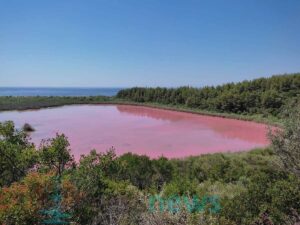 Ροζ λίμνη στη Χαλκιδική – Που οφείλεται το ιδιαίτερο χρώμα της (ΦΩΤΟ)