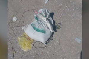 Τρίκαλα: Έριξαν στα σκουπίδια έξι κουτάβια – Σώθηκε μόνο το ένα (VIDEO)