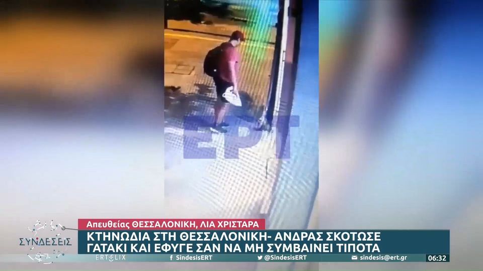 Θεσσαλονίκη: Φιλοζωική επικήρυξε με 3.000 ευρώ τον άγνωστο που ποδοπάτησε και σκότωσε γατάκι