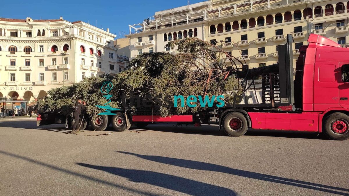 Έφτασε στην πλατεία Αριστοτέλους το Χριστουγεννιάτικο δέντρο της Θεσσαλονίκης (ΦΩΤΟ-VIDEO)