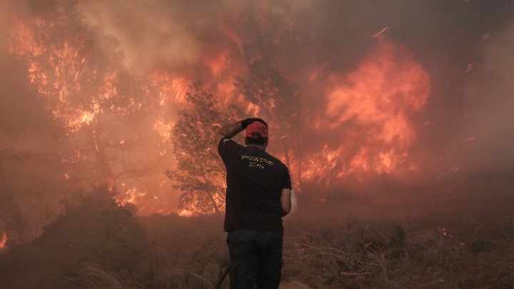 2023: Μια χρονιά καταστροφικών δασικών πυρκαγιών