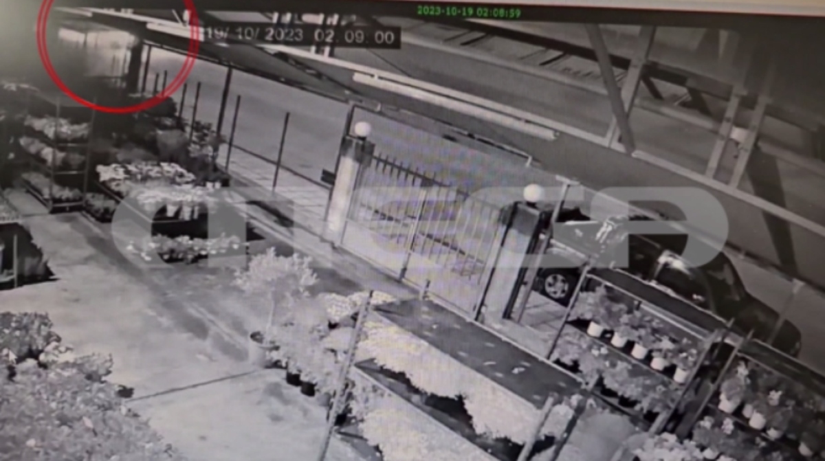 Λαμία: Αυτοκίνητο προσέκρουσε σε τοίχο σπιτιού – Μεθυσμένος ο οδηγός (VIDEO)