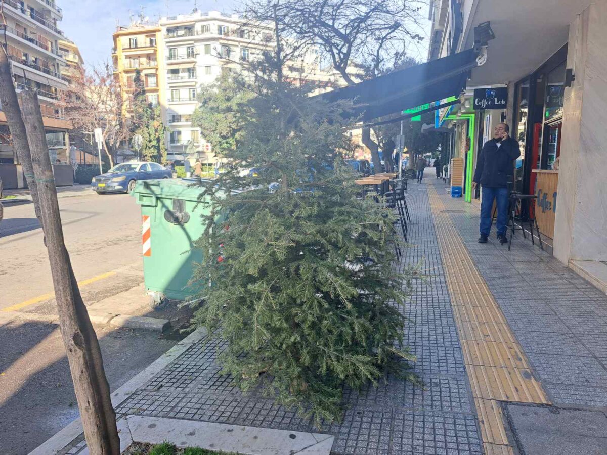 Μαζεύουν τα δέντρα όταν τελειώσουν οι γιορτές – Σε 7 σημεία σε όλον τον Δήμο